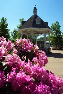 Gazebo in Scottdale